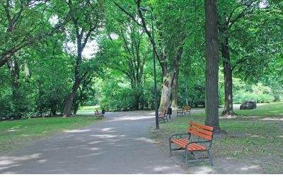 9月14日は、グリーンデーです。