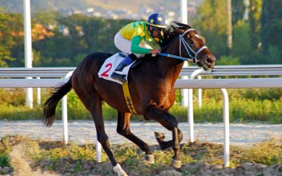 9月16日は、競馬の日(日本中央競馬会発足記念日)です。