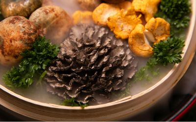 9月6日は、黒舞茸の日です。