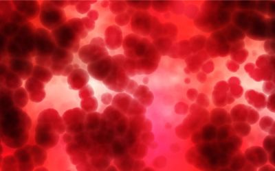 9月14日は、日本骨髄増殖性腫瘍の日です。