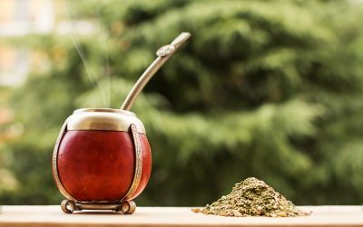 9月1日は、マテ茶の日です。
