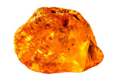 11月7日の誕生石(バースデーストーン)はアンバーで、石言葉は「抱擁、大きな愛」です。