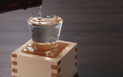 11月1日は、キクマサピンの日