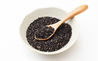 11月5日は、ごまの日です。