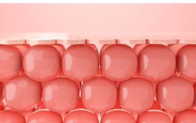 11月1日は、Ⅲ型コラーゲンの日