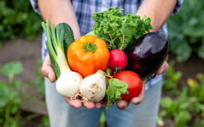 11月2日は、都市農業の日