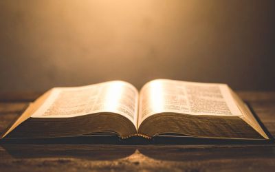 11月7日は、知恵の日です。