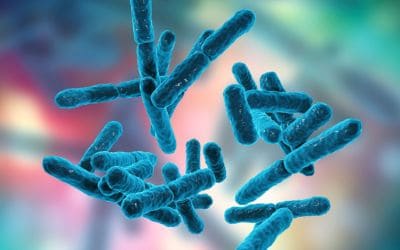 12月2日は、ビフィズス菌の日です。