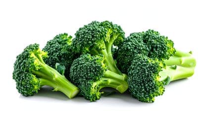 11月26日は、いいブロッコリーの日です。