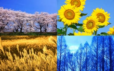 11月12日は、「四季」の日です。