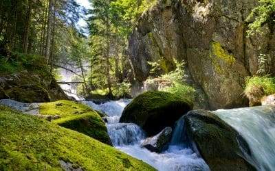 11月16日は、源流の日です。