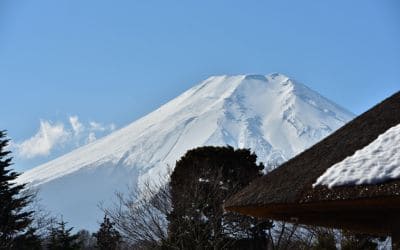 11月20日は、山梨県民の日です。