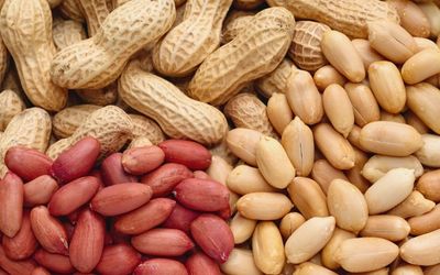 11月11日は、ピーナッツの日です。