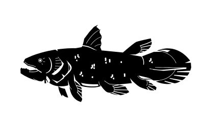 12月20日は、シーラカンスの日です。